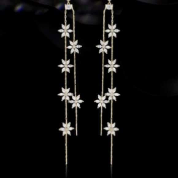 Cold wind/style/long/fringed earrings - Picture 4 of 4